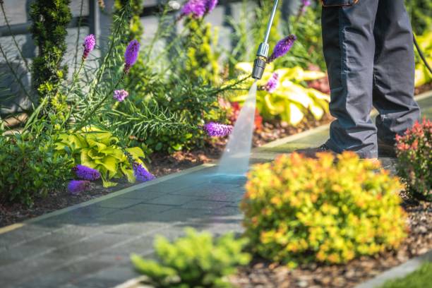 Best Residential Pressure Washing in Catonsville, MD